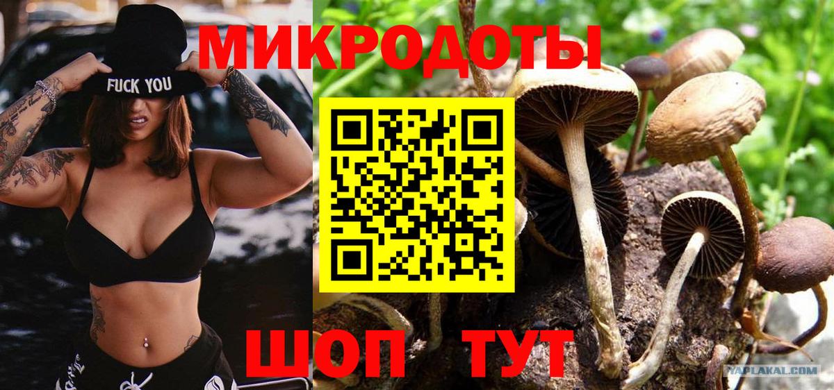 Псилоцибиновые грибы MAGIC MUSHROOMS  Галлюциногенные грибы мицелий  Вход с VPN  Владивосток 